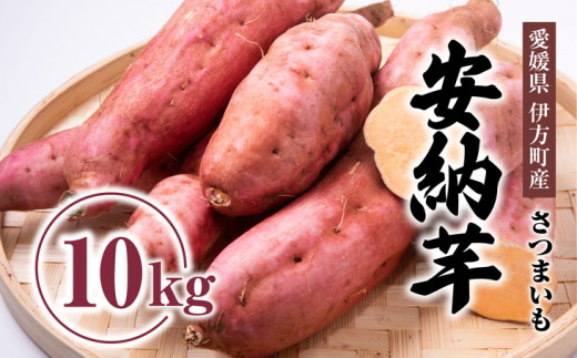 高糖度で人気定番！安納芋10kg ｜ 愛媛県産 伊方町特産佐田岬 島津農園 さつまいも 安納芋 焼き芋 スイーツ※着日指定不可