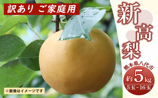 先行予約】 新高梨 訳あり ご家庭用 約5kg（5～16玉） 梨 - 熊本県八代