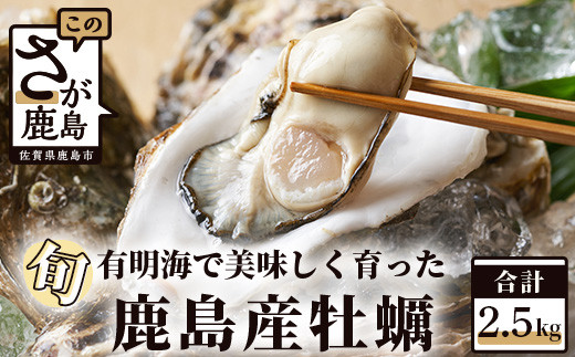 鹿島産 牡蠣 2.5kg(殻付き)【加熱調理用】品種(スミノエ) 期間限定 牡蠣 かき カキ 牡蠣焼き かき焼き カキ焼き 有明海 オイスター 佐賀  B-559