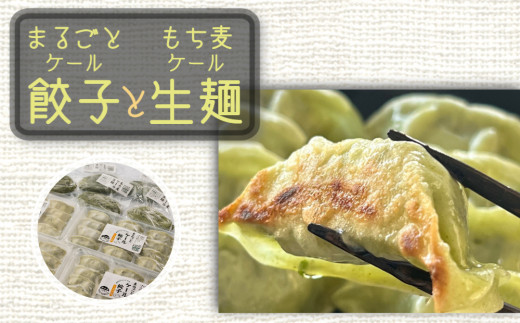 サンプル写真