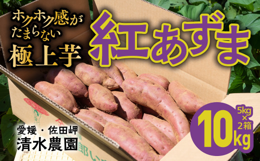 愛媛県伊方町産　瀬戸の紅あずま10kg（5kg×2箱） | さつまいも　サツマイモ　芋※着日指定不可※離島への配送不可