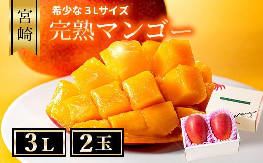 完熟 マンゴー 3L 2玉 化粧箱 宮崎 高級 果物 フルーツ 濃厚 ギフト の