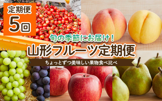 定期便5回】ちょっとずつ美味しい果物食べ比べ定期便 【令和6年産先行