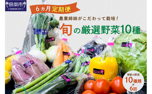農業姉妹がこだわって栽培！旬の厳選野菜10種 半年定期便【024A-017 