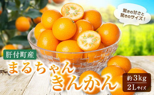 A68003 ＜先行受付＞肝付町産完熟まるちゃんきんかん(約3kg