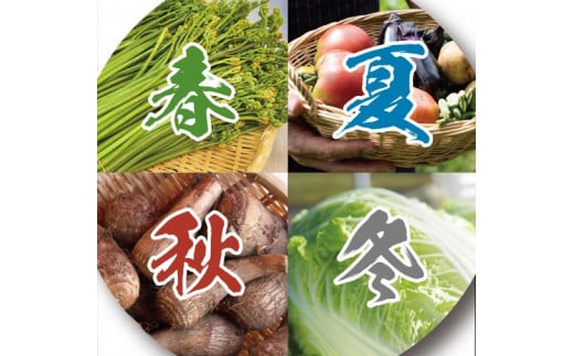 yHcsz䂴̎R̍K S5 R t[c   Ⴊ 卪 ̂   Ȃ G߂Ƃ̏{̖o͂yij̋@؍؂܂z