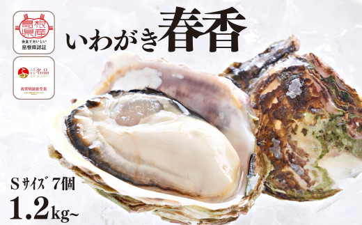 サンプル写真