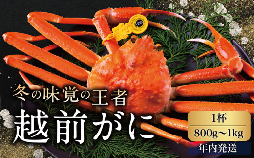 サンプル写真