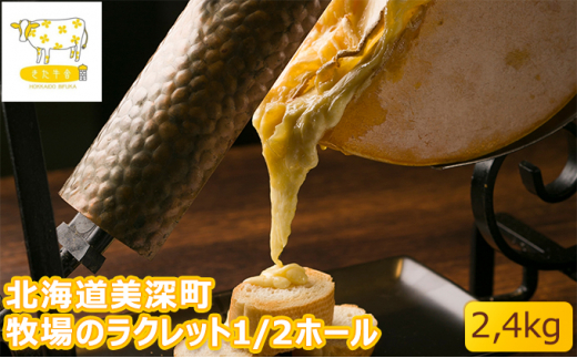 ykC[zkC[ q̃Nbg1/2z[ 2.4kgykイɁz [5894-0529]