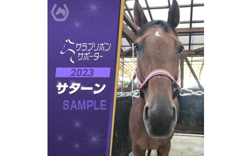サンプル写真