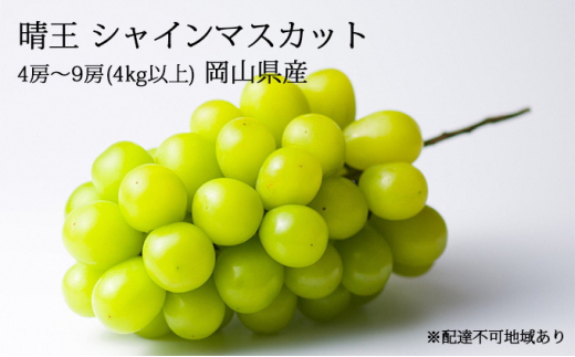 ぶどう［2023年先行予約］晴王 シャインマスカット 4房～9房（4kg以上