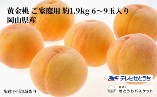岡山県産　黄金桃　14玉