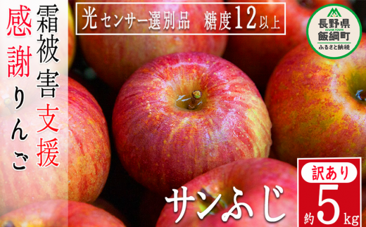 りんご サンふじ 5kg 訳あり 長野県 光センサー 「 感謝りんご 」 林檎 ふじ 不揃い 家庭用 傷あり 規格外 訳アリ 果物 くだもの フルーツ  ７０００円 ７０００ 糖度保証 12度以上 ※R5年12月からR6年１月末お申し込み順に発送予定 長野 飯綱町 全国発送可能 [1224]