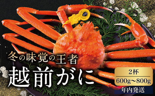サンプル写真