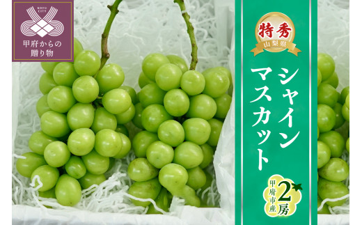 2023年発送！【山梨県甲府市産】Inakakara「特秀品シャインマスカット