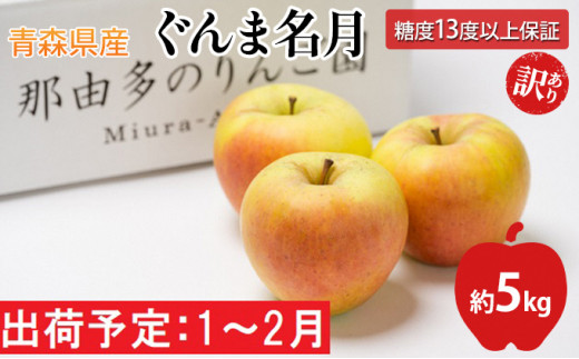 年明け 【訳あり】 家庭用 ぐんま名月 約5kg（糖度証明書付き） 【那由