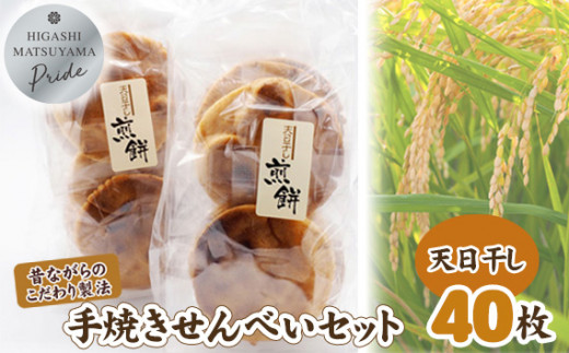 サンプル写真