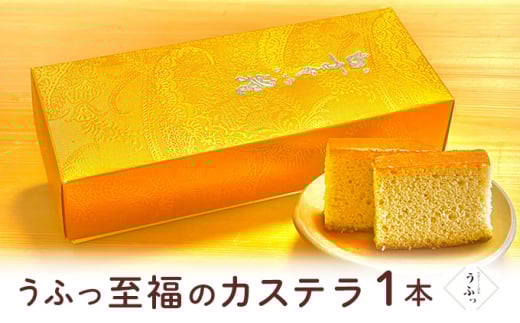 yɌPHsz[5258-0646]uӂṽJXe1{