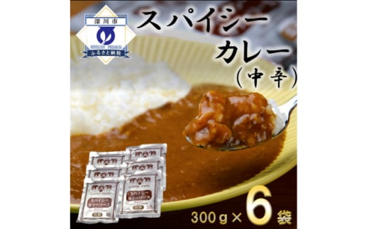 スパイシーカレー中辛(レトルト)300g×6袋【1375352】