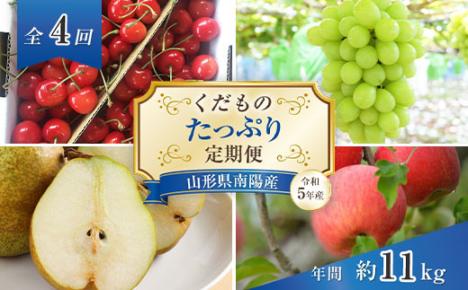 くだもの ”たっぷり” 定期便 （全4回）令和5年産 ［南陽中央青果市場