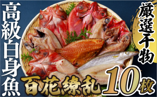 R904 高級 白身魚 干物 百花繚乱 計5種10枚 のし 包装 ギフト 贈答 お中元 お歳暮 干物セット つぼ鯛 カマス 金目鯛 銀ヒラス あらかぶ 長崎県佐世保市 ふるさとチョイス ふるさと納税サイト