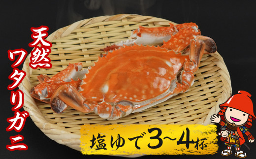 期間 数量限定 大分県中津産 天然ワタリガニ 塩ゆで 3 4杯 800g 900g 蟹 カニ 活きたまま塩茹 急速冷凍 カニ ワタリガニ 大分県中津市 ふるさとチョイス ふるさと納税サイト