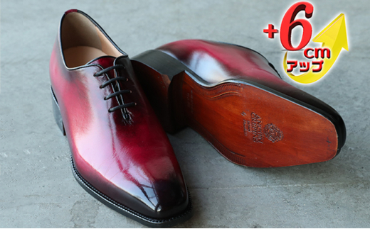 yޗǌaSRszrWlXV[Y {v v amC  z[Jbg 6cmAbv V[NbgV[Y R No.1380 {h[ 26.5 [5990-5323]0523