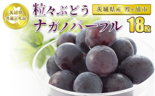 23年分予約 ナガノパープル ぶどう 化粧箱入 ブドウ 葡萄 長野 産地直送 はちまるはち 通販 さとふるふるさと納税 長野市 Abracce Com Br