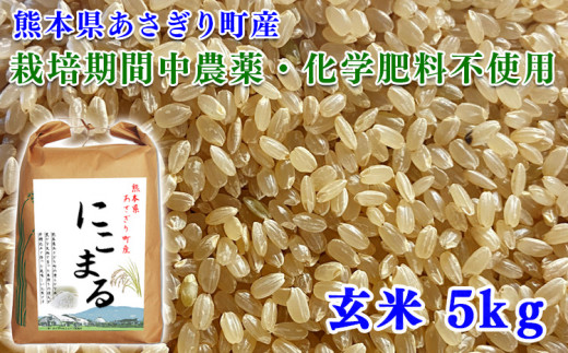 令和5年産 熊本県あさぎり町産にこまる 玄米5kg【農薬・化学肥料不使用】