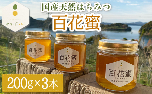 百花蜜 国産天然はちみつ 200g × 3本〈嬉しい贈答箱入り！〉【オリーブハニー】 [OCG004]