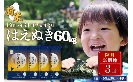 令和5年産米】※2023年12月下旬スタート※ はえぬき60kg（20kg×3回）隔月