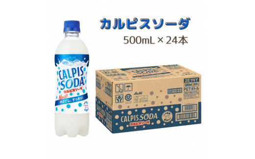 カルピスソーダ（500mL×24本）013-005 - 岡山県総社市｜ふるさと