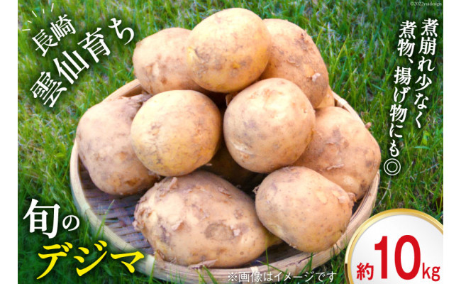 島原半島育ち】 春 じゃがいも デジマ 約10kg [まるまさ 長崎県 雲仙市 