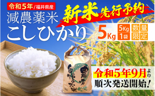 新作定番】 令和5年収穫 韮生米 （にこまる）5kg お届け：2023年9月末