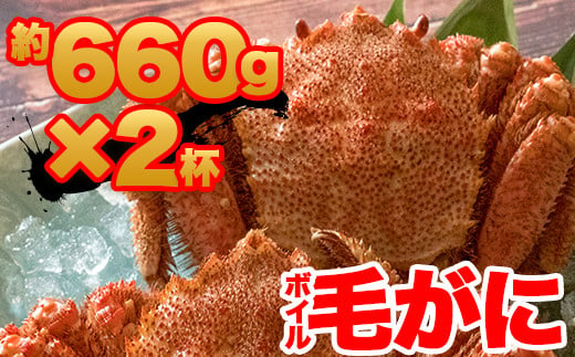 訳あり】北海道産 冷凍ボイル毛がに（約570g×3杯）1.71kg かに 蟹 かに