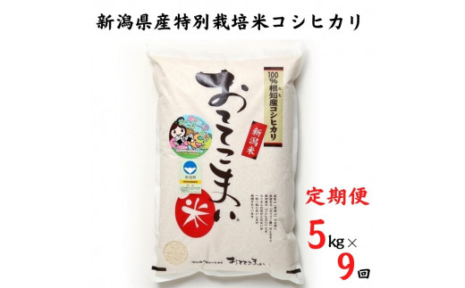 令和6年産新米予約【定期便】新潟県産 コシヒカリ 5kg×9ヶ月 計45kg