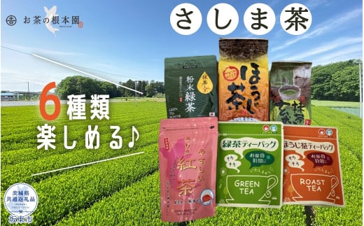 お茶の根本園 さしま茶6種飲み比べセット（茨城県共通返礼品・坂東市産