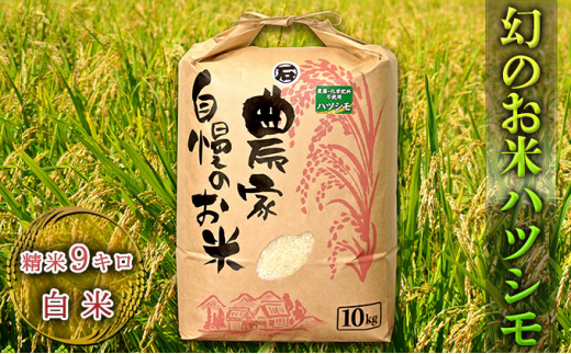 幻のお米ハツシモ 9kg 精米 白米 - 岐阜県美濃市｜ふるさとチョイス 
