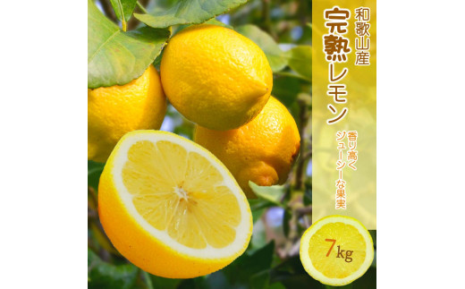 EA6012n_和歌山県産 完熟 レモン 7kg 皮までご使用いただける低農薬栽培 !