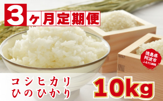 こしひかり ひのひかり 定期便 3ヶ月 新米 お米 精米済 10kg ブランド