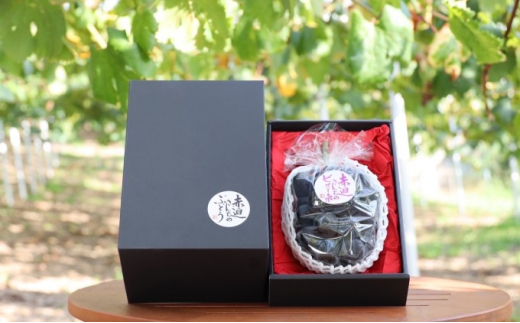 yRsz[5615-0382] j[ sI[l 1[ 650gȏ  Ԃǂ t[c R sY Ԕ_ 2026N s\ ʕ fU[g  ō VN ˔ 