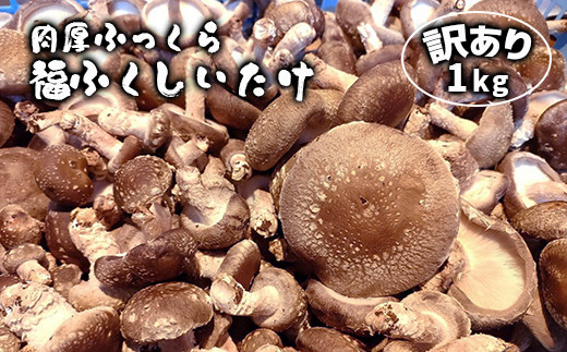 y茧֎szӂ ӂ 󂠂i 1kg