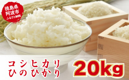 こしひかり ひのひかり 新米 お米 精米済 令和5年産 20kg 白米 - 徳島