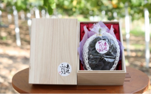 yRsz[5615-0381]˔ j[ sI[l 1[ 750gȏ  Ԃǂ t[c R sY Ԕ_ 2026N s\ ʕ fU[g  ō VN ˔ 