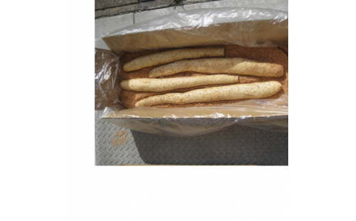 yXXszXYȂuloX^[v5kg(3L`4LTCY×4{)y1375460z