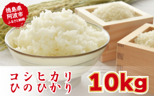 新米 お米 こしひかり ひのひかり 令和5年産 精米済 10kg 白米