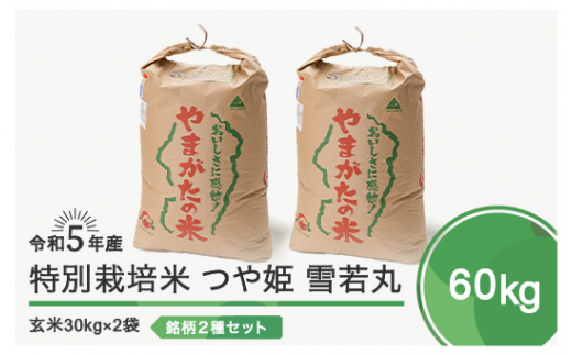 ふるさと納税「米 60kg」の人気返礼品・お礼品比較 - 価格.com