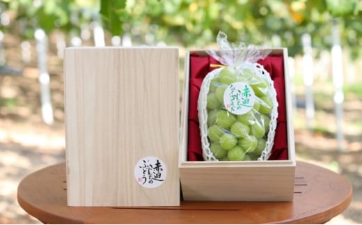 yRsz[5615-0383]˔ VC }XJbg 1[ 750gȏ  Ԃǂ t[c R sY Ԕ_ 2026N s\ ʕ fU[g  ō VN ˔ 