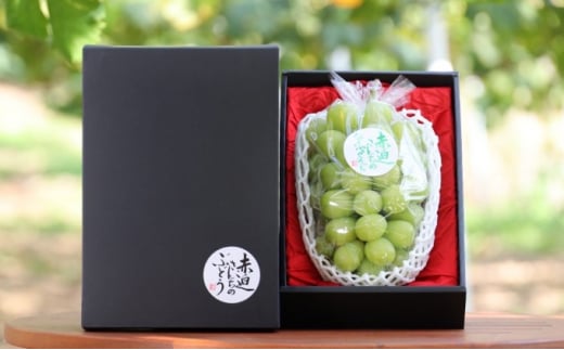 yRsz[5615-0384] VC }XJbg 1[ 650gȏ  Ԃǂ t[c R sY Ԕ_ 2026N s\ ʕ fU[g  ō VN ˔ 