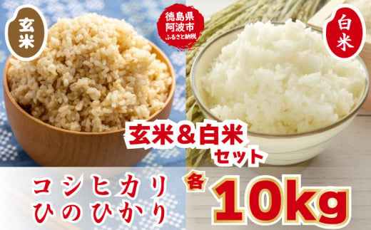 こしひかり ひのひかり 新米 白米 10kg 玄米 10kg 計20kg ブランド米 令和5年産 糖質制限 農家直送